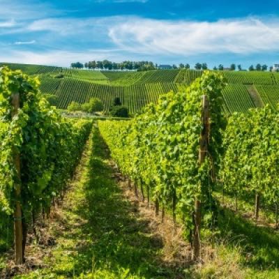 Reisgidsen Luxemburg