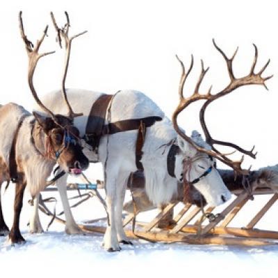 Wandelgidsen Finland