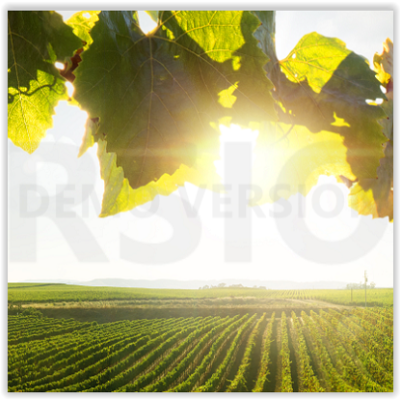 Bourgogne-Franche-Comté