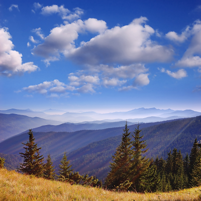 Auvergne-Rhône-Alpes