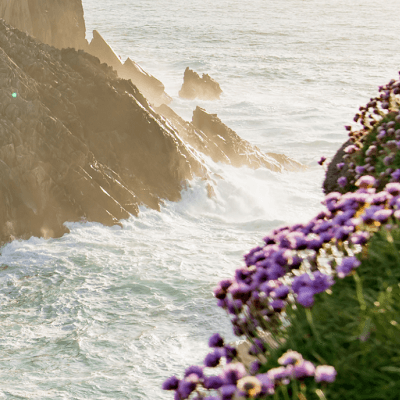 GR34 - Sentier des Douaniers