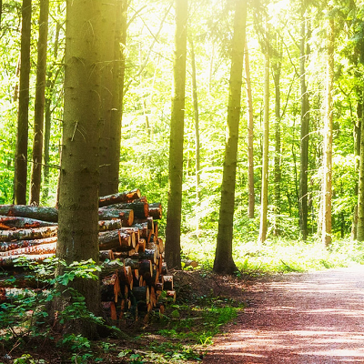 De Provincie Waals-Brabant